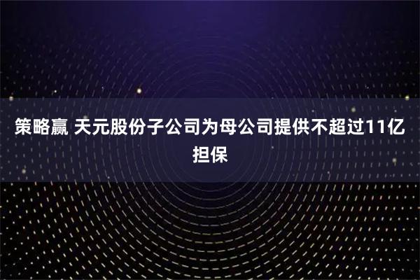 策略赢 天元股份子公司为母公司提供不超过11亿担保